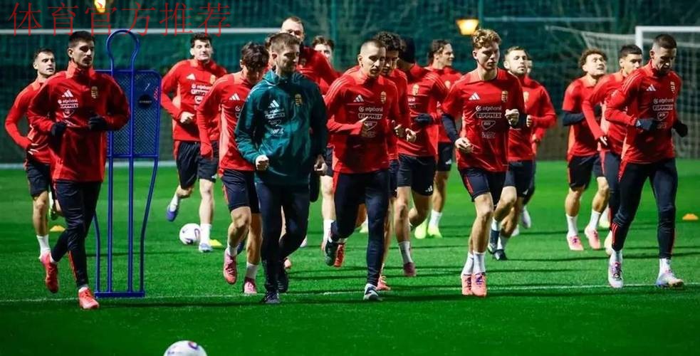 帕洛特2场5球+对阵葡萄牙双响+对阵匈牙利戴帽+带队挺进附加赛! 帕洛特2场5球+对阵葡萄牙双响+对阵匈牙利戴帽+带队挺进附加赛!